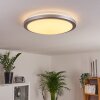 Plafonnier Sapioris LED Blanc, 1 lumière