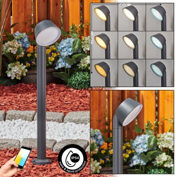 Borne lumineuse Moroni LED Anthracite, 1 lumière