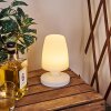 Lampe à poser Vallardo LED Blanc, 1 lumière