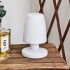 Lampe à poser Vallardo LED Blanc, 1 lumière