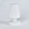 Lampe à poser Vallardo LED Blanc, 1 lumière