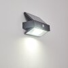 Applique murale d'extérieur Wiborg LED Anthracite, 1 lumière, Détecteur de mouvement