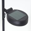 lampe solaire Rovinj LED Cuivre, Noir, 1 lumière