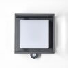 Applique murale d'extérieur Lansing LED Anthracite, 1 lumière, Détecteur de mouvement