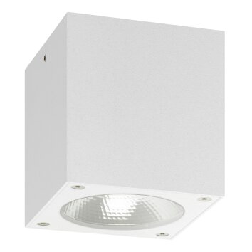 plafonnier extérieur LCD 5029 LED Blanc, 1 lumière