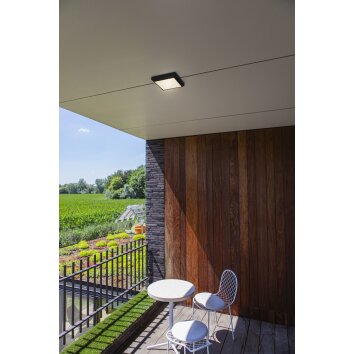 plafonnier extérieur Lutec Helena LED Anthracite, 1 lumière