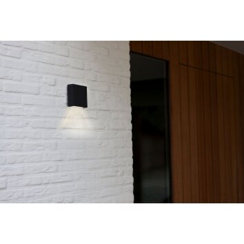 Applique murale d'extérieur Lutec Gemini XF LED Noir, 1 lumière