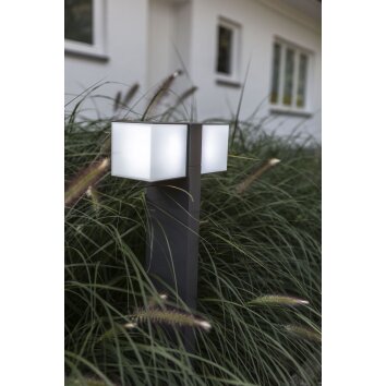 Borne lumineuse Lutec CUBA LED Anthracite, 2 lumières