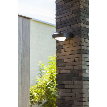 Applique murale d'extérieur Lutec Fele LED Anthracite, 1 lumière