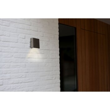 Applique murale d'extérieur Lutec Gemini XF LED Acier inoxydable, 1 lumière