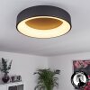 Plafonnier Pine LED Noir, 1 lumière