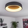 Plafonnier Pine LED Noir, 1 lumière