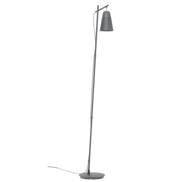 Lampadaire Eglo CANTERRAS Noir, 1 lumière