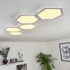 Plafonnier Fanebal LED Blanc, 1 lumière