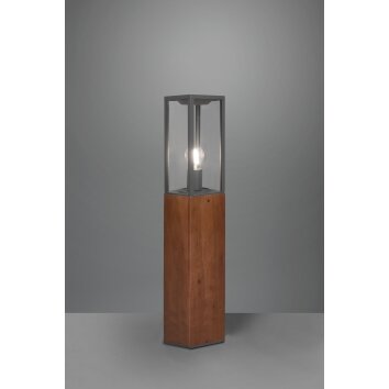 Borne lumineuse Trio Garonne Bois foncé, Nickel mat, 1 lumière