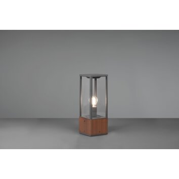 Borne lumineuse Trio Garonne Bois foncé, Nickel mat, 1 lumière