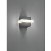 Applique murale d'extérieur Trio Mitchell LED Anthracite, 1 lumière