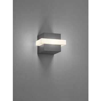 Applique murale d'extérieur Trio Mitchell LED Anthracite, 1 lumière