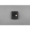 Applique murale d'extérieur Trio Tunga LED Anthracite, 1 lumière