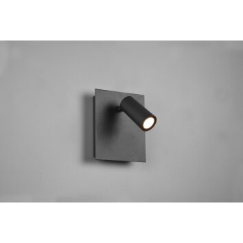 Applique murale d'extérieur Trio Tunga LED Anthracite, 1 lumière