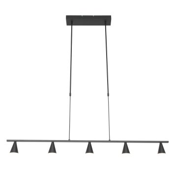 Suspension Steinhauer Vortex Noir, 5 lumières