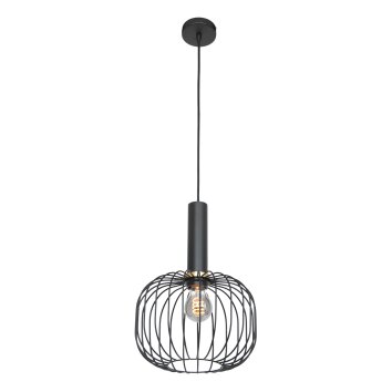 Suspension Steinhauer Aureole Noir, 1 lumière