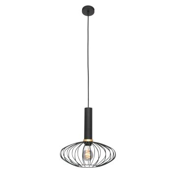 Suspension Steinhauer Aureole Noir, 1 lumière