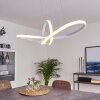 Suspension Pitasch LED Blanc, 1 lumière