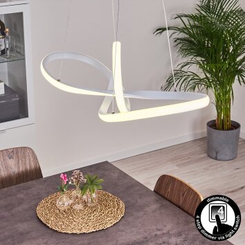 Suspension Pitasch LED Blanc, 1 lumière