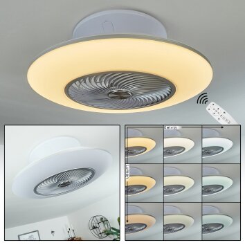 Ventilateur de plafond Chaville LED Blanc, 1 lumière, Télécommandes