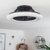 Ventilateur de plafond Piraeus LED Noir, 1 lumière, Télécommandes