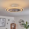 Ventilateur de plafond Terradura LED Chrome, Noir, Blanc, 1 lumière, Télécommandes