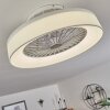 Ventilateur de plafond Moli LED Blanc, 1 lumière, Télécommandes