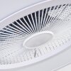 Ventilateur de plafond Marmorta LED Blanc, 1 lumière, Télécommandes