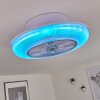 Ventilateur de plafond Riccione LED Blanc, 1 lumière, Télécommandes, Changeur de couleurs