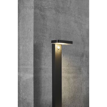 Lampe solaires Nordlux RICA LED Noir, 1 lumière