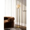 Lampadaire Design For The People by Nordlux SHAPES Laiton, 1 lumière