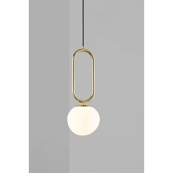 Suspension Design For The People by Nordlux SHAPES Laiton, 1 lumière