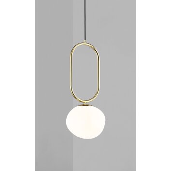 Suspension Design For The People by Nordlux SHAPES Laiton, 1 lumière