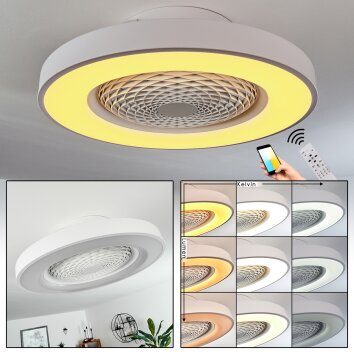 Ventilateur de plafond Penon LED Blanc, 1 lumière, Télécommandes