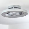 Ventilateur de plafond Penon LED Argenté, 1 lumière, Télécommandes