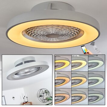 Ventilateur de plafond Penon LED Argenté, 1 lumière, Télécommandes