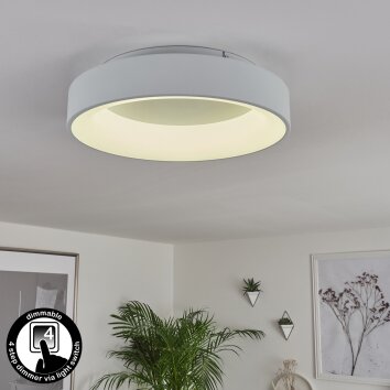 Plafonnier Pine LED Blanc, 1 lumière