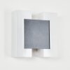 Applique murale d'extérieur Zoppola LED Anthracite, Blanc, 2 lumières