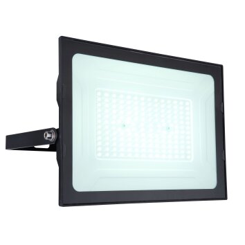 Applique murale d'extérieur Globo HELGA LED Noir, 1 lumière