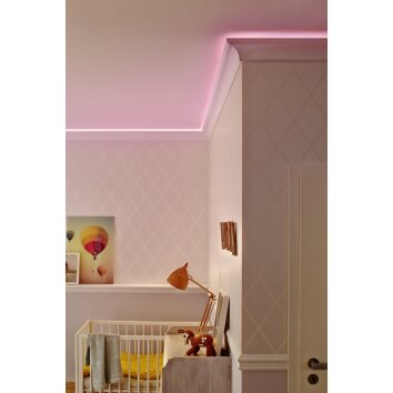 Bande LED LEDVANCE STRIP NEON Blanc, 1 lumière