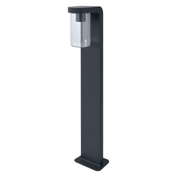 Borne lumineuse LEDVANCE ENDURA Anthracite, 1 lumière