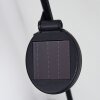 lampe solaire Rovinj LED Cuivre, Noir, 1 lumière