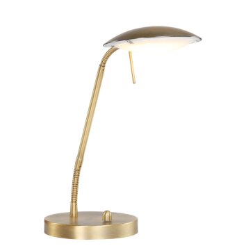 Lampe à poser Steinhauer MEXLITE LED Bronze, 1 lumière