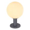 Borne lumineuse Globo OSSY Anthracite, 1 lumière